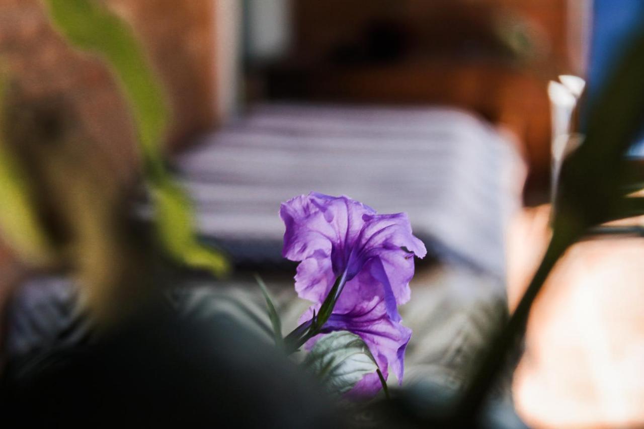 Casa Ka'A Hostel Ubatuba Luaran gambar